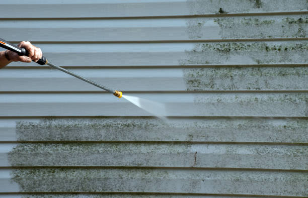 Best Residential Pressure Washing in Yorkvle, IL