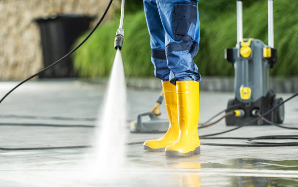 Best Seasonal Cleaning Services in Yorkvle, IL